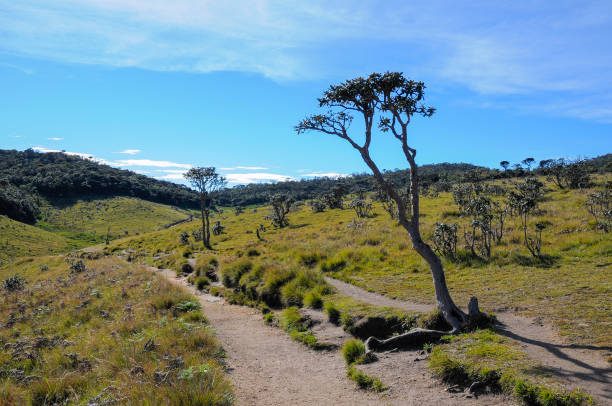 Horton Plains