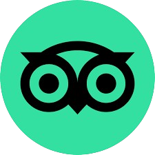 TripAdvisor Icon