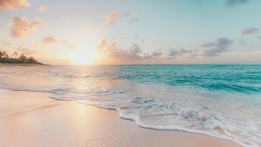 Sun, Sand, and Serenity await.